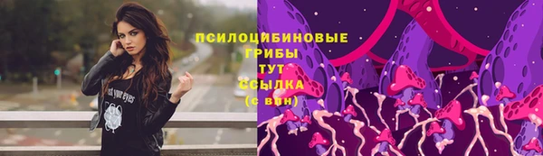 PSILOCYBIN Баксан